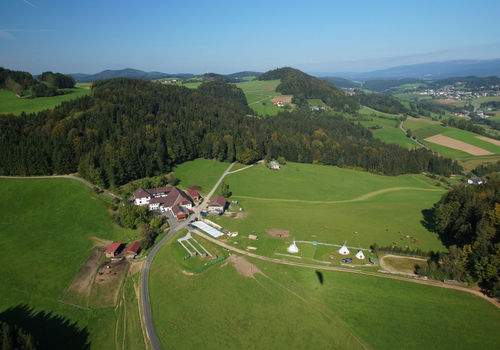 Hoch4
