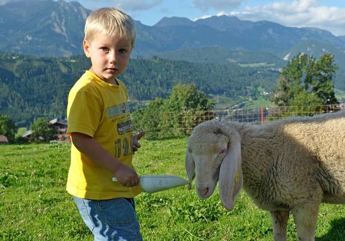 Kind Schaf