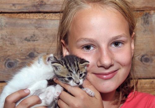 Kind Katze