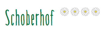 Logo1